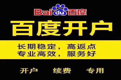 竞价推广与SEM托管结合的营销策略——某电商平台的实践